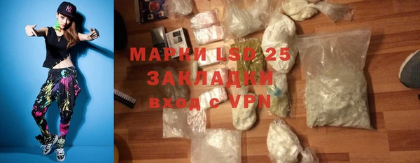 прущие грибы Балахна
