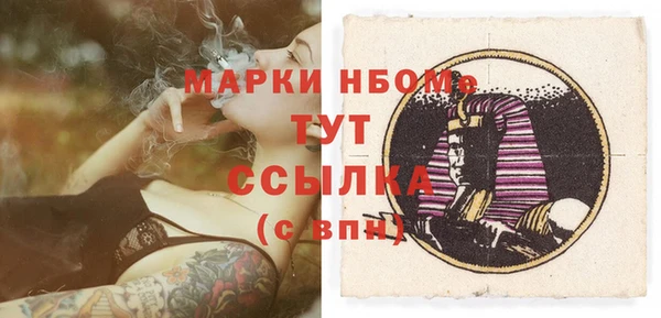прущие грибы Балахна