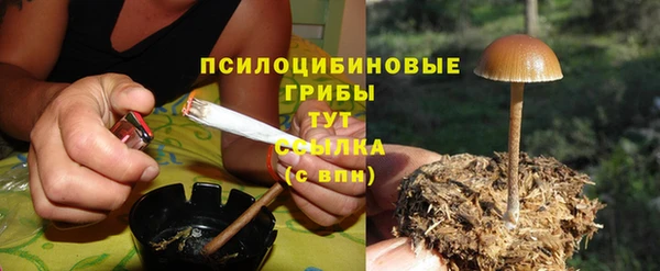прущие грибы Балахна