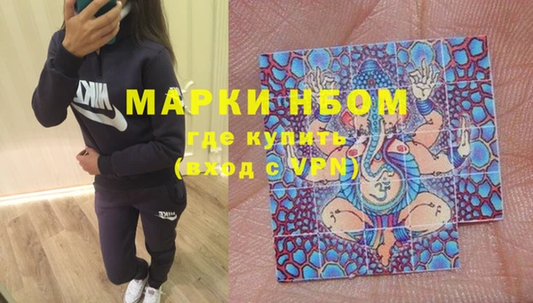 прущие грибы Балахна