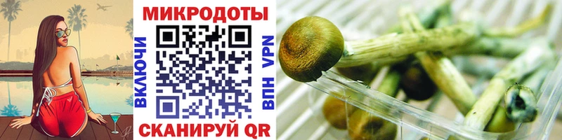 omg онион  купить закладку  Заозёрный  Псилоцибиновые грибы мицелий 